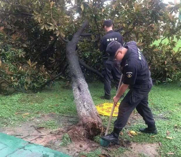 C:/Users/BA/Desktop/風(fēng)雨過(guò)后南京保安迅速行動(dòng)，恢復(fù)安“寧”面貌/10.jpg10