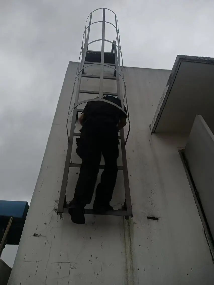 C:/Users/BA/Desktop/風(fēng)雨過(guò)后南京保安迅速行動(dòng)，恢復(fù)安“寧”面貌/3.jpg3